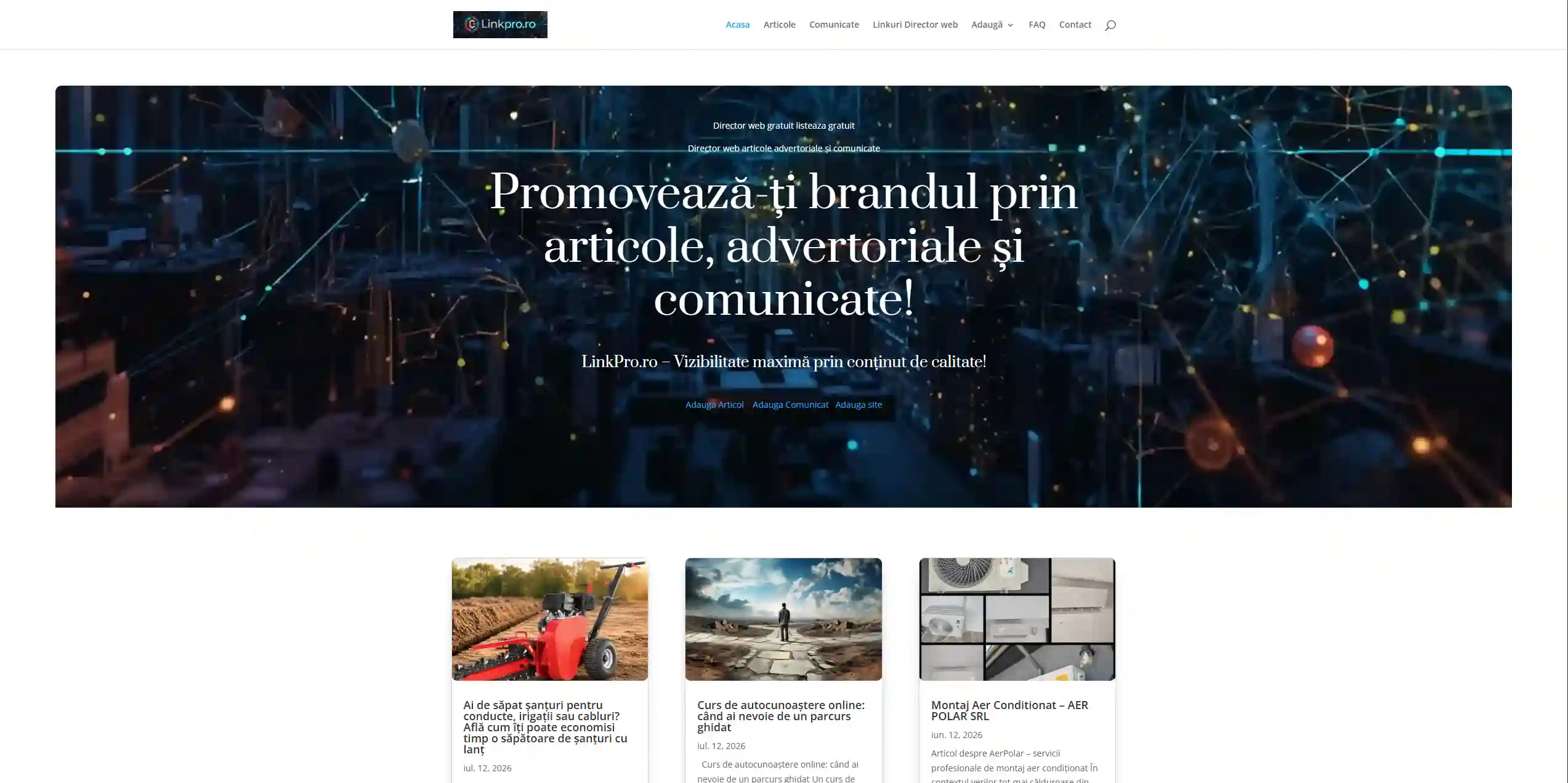 site director web romanesc linkpro site director web romanesc linkpro